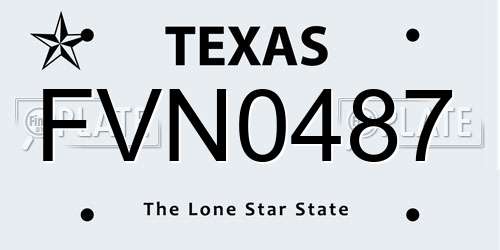 FVN0487 Texas License Plate