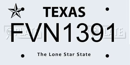 FVN1391 Texas License Plate
