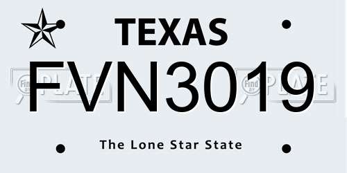 FVN3019 Texas License Plate