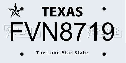 FVN8719 Texas License Plate