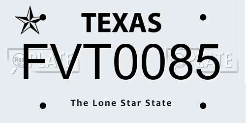 FVT0085 Texas License Plate
