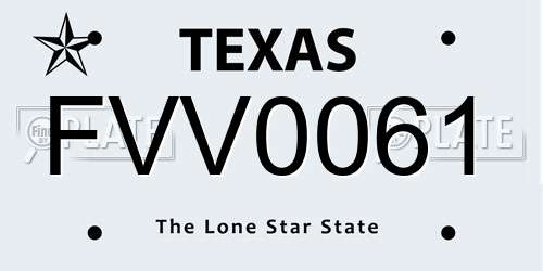 FVV0061 Texas License Plate