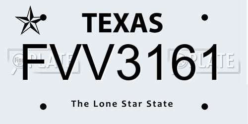 FVV3161 Texas License Plate