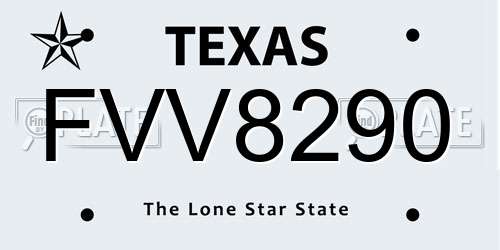 FVV8290 Texas License Plate