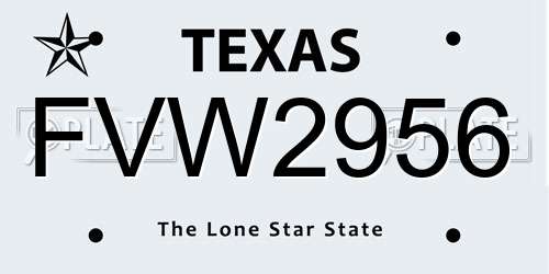 FVW2956 Texas License Plate