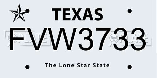 FVW3733 Texas License Plate