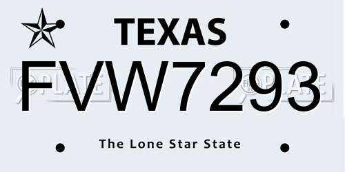 FVW7293 Texas License Plate