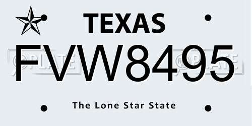 FVW8495 Texas License Plate