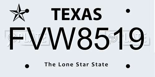 FVW8519 Texas License Plate