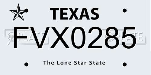 FVX0285 Texas License Plate