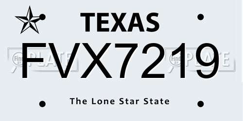 FVX7219 Texas License Plate