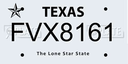 FVX8161 Texas License Plate