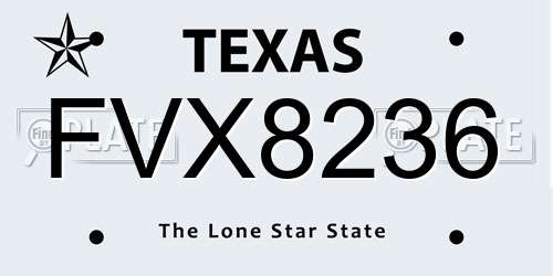 FVX8236 Texas License Plate