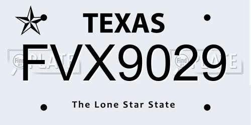 FVX9029 Texas License Plate