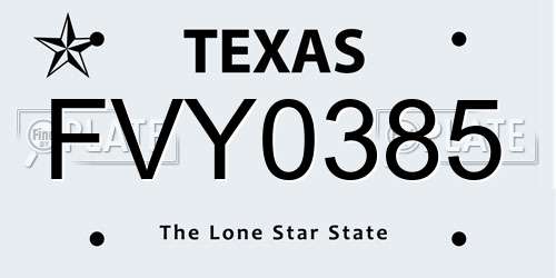 FVY0385 Texas License Plate