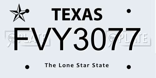 FVY3077 Texas License Plate