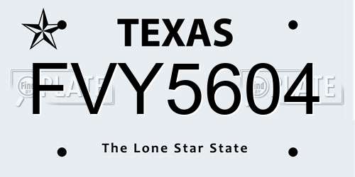 FVY5604 Texas License Plate