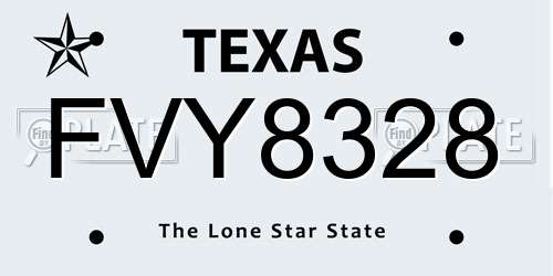 FVY8328 Texas License Plate