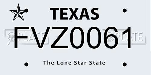 FVZ0061 Texas License Plate