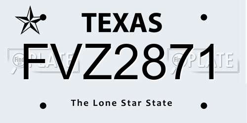 FVZ2871 Texas License Plate