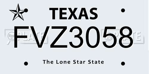 FVZ3058 Texas License Plate