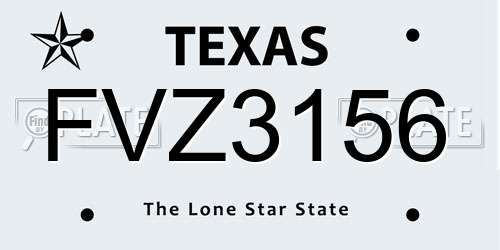 FVZ3156 Texas License Plate