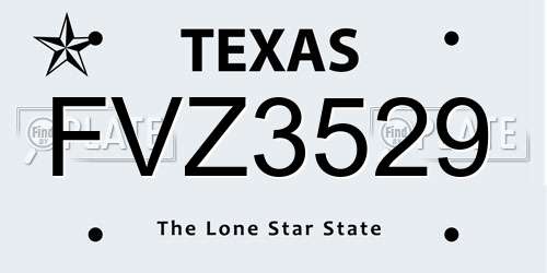 FVZ3529 Texas License Plate