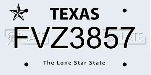 FVZ3857 Texas License Plate