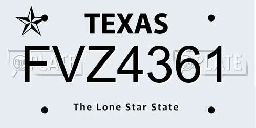 FVZ4361 Texas License Plate