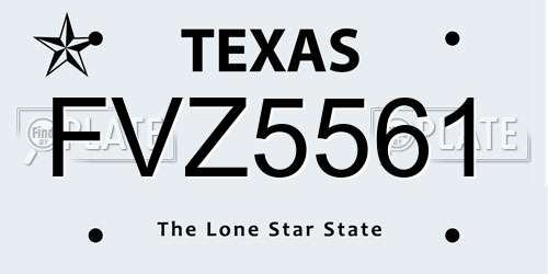 FVZ5561 Texas License Plate