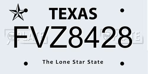 FVZ8428 Texas License Plate