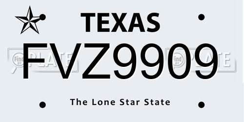 FVZ9909 Texas License Plate