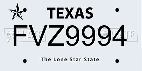 FVZ9994 Texas License Plate