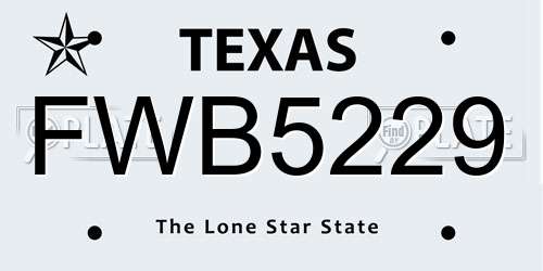 FWB5229 Texas License Plate