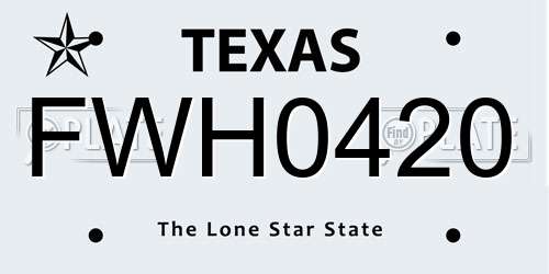 FWH0420 Texas License Plate