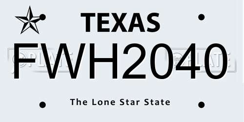 FWH2040 Texas License Plate