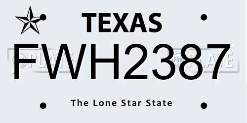 FWH2387 Texas License Plate