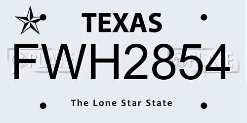 FWH2854 Texas License Plate
