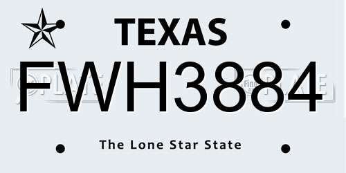 FWH3884 Texas License Plate