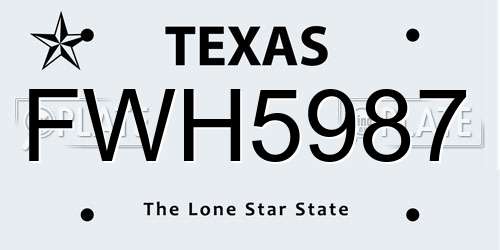 FWH5987 Texas License Plate