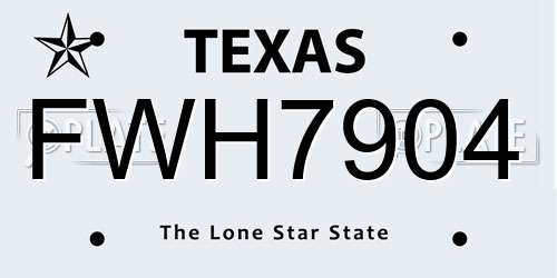 FWH7904 Texas License Plate