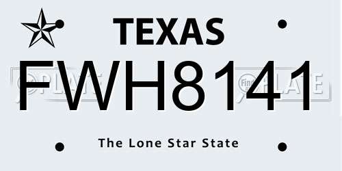 FWH8141 Texas License Plate