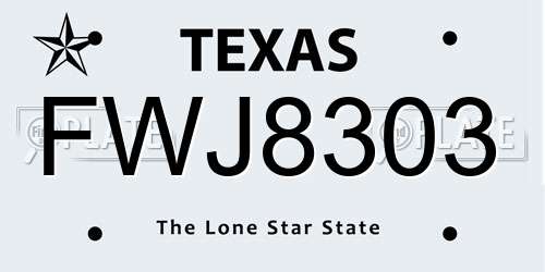 FWJ8303 Texas License Plate