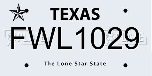 FWL1029 Texas License Plate