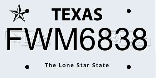 FWM6838 Texas License Plate