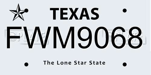 FWM9068 Texas License Plate