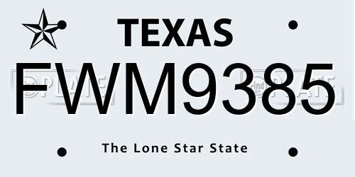 FWM9385 Texas License Plate
