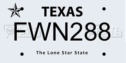 FWN288 Texas License Plate