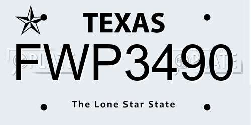 FWP3490 Texas License Plate