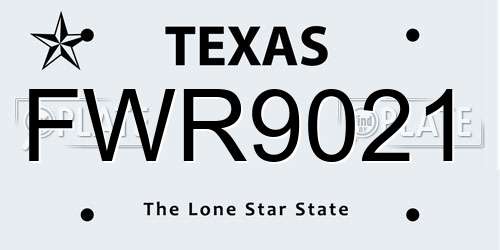 FWR9021 Texas License Plate